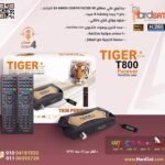 Tiger T800 Forever